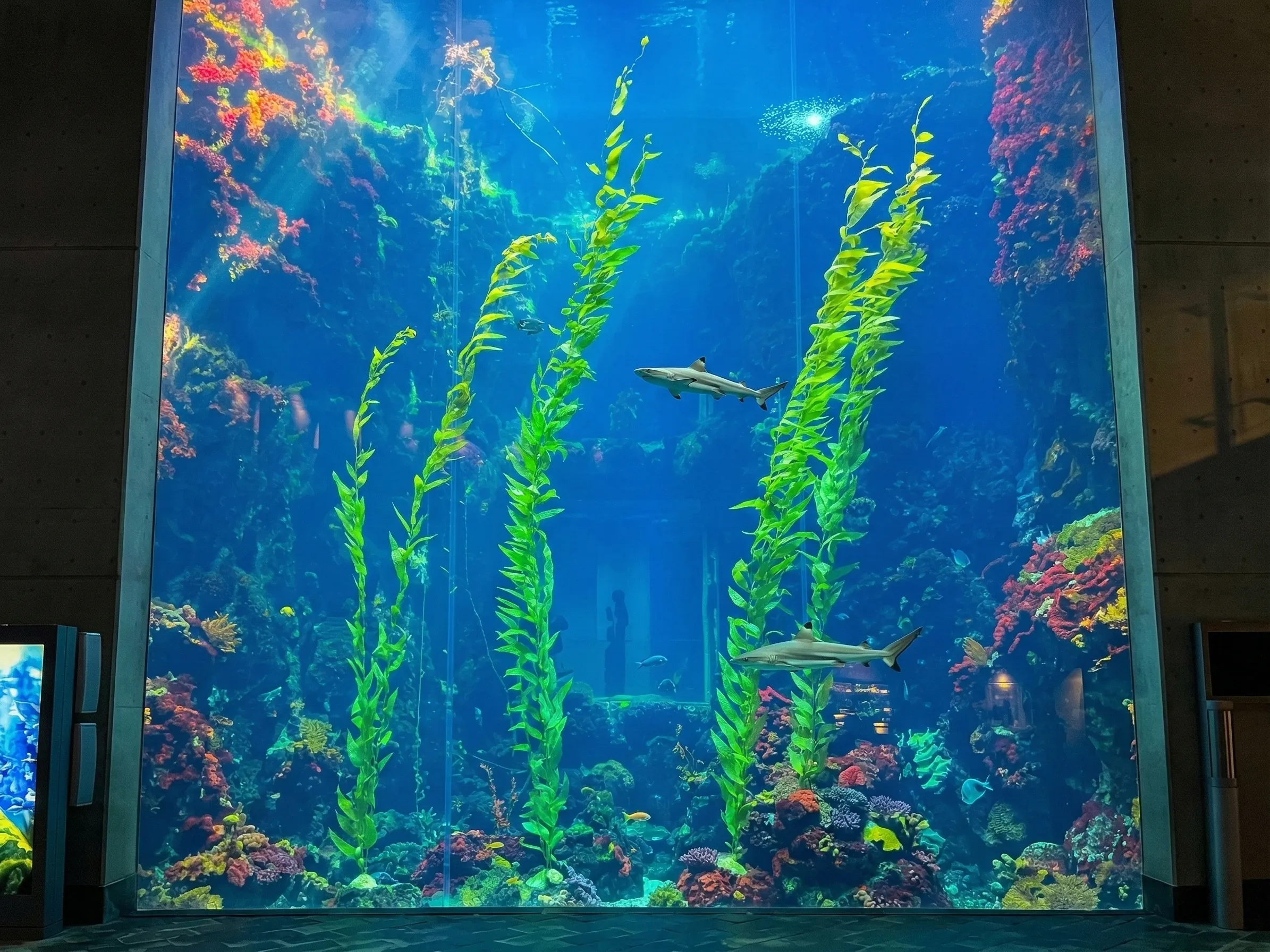 屏東海洋生物博物館